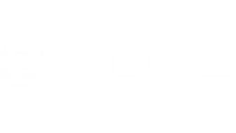 Profil-web-penneng-logo