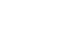 Pem-white-logo